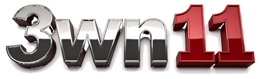 3wn11 logo